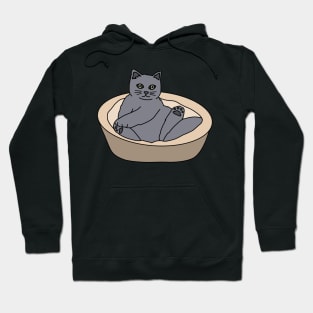 Gray Cat Hoodie